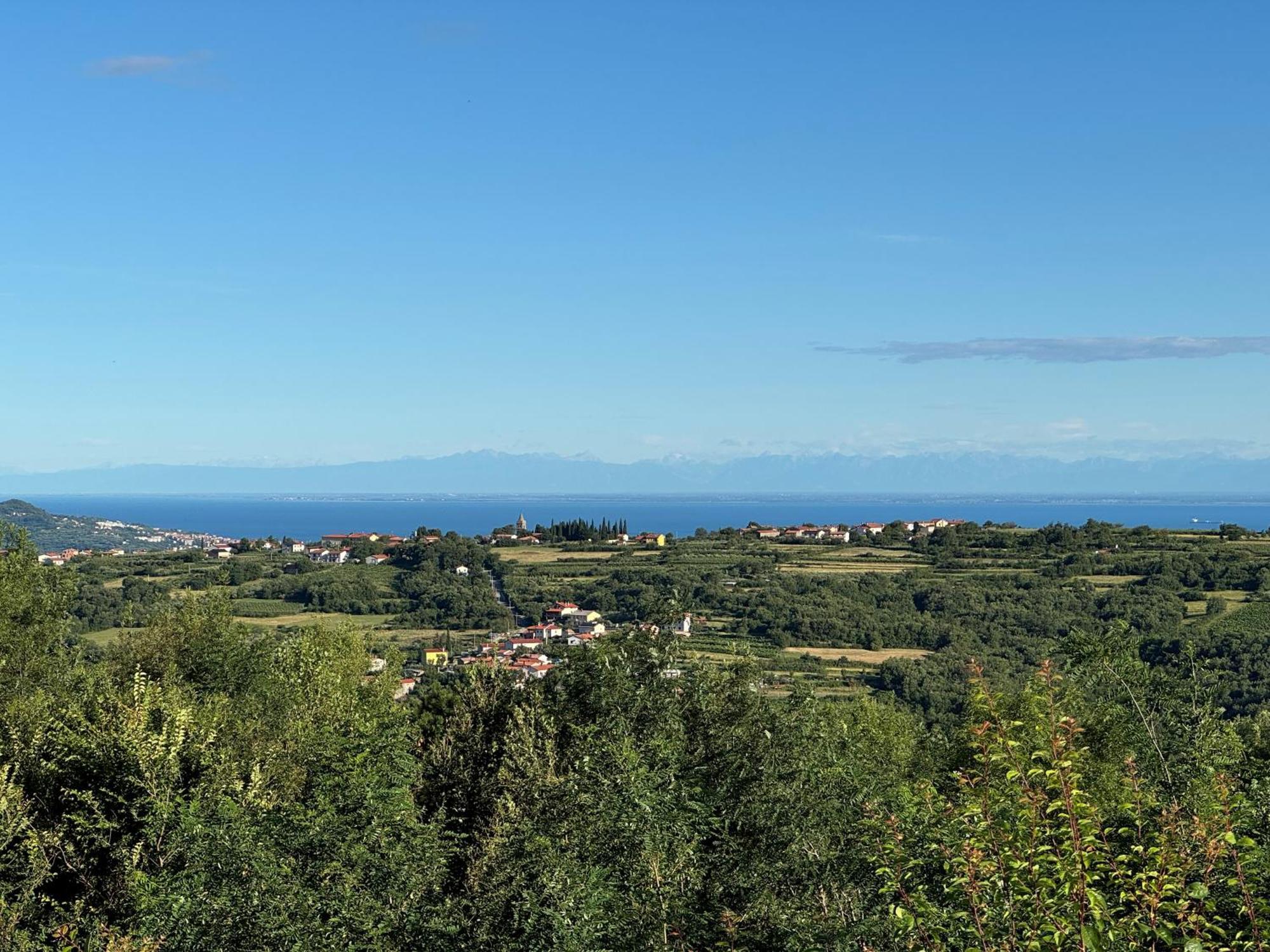 Glamping Green Istria Tiny Houses Truške 外观 照片