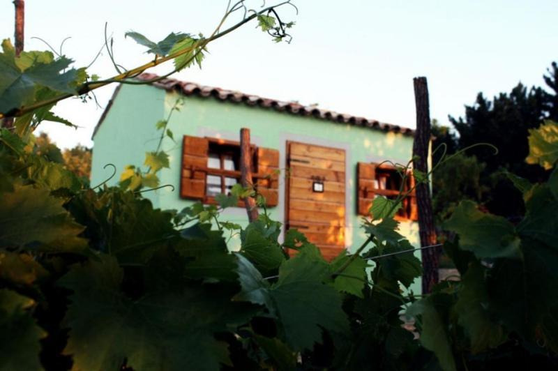 Glamping Green Istria Tiny Houses Truške 外观 照片