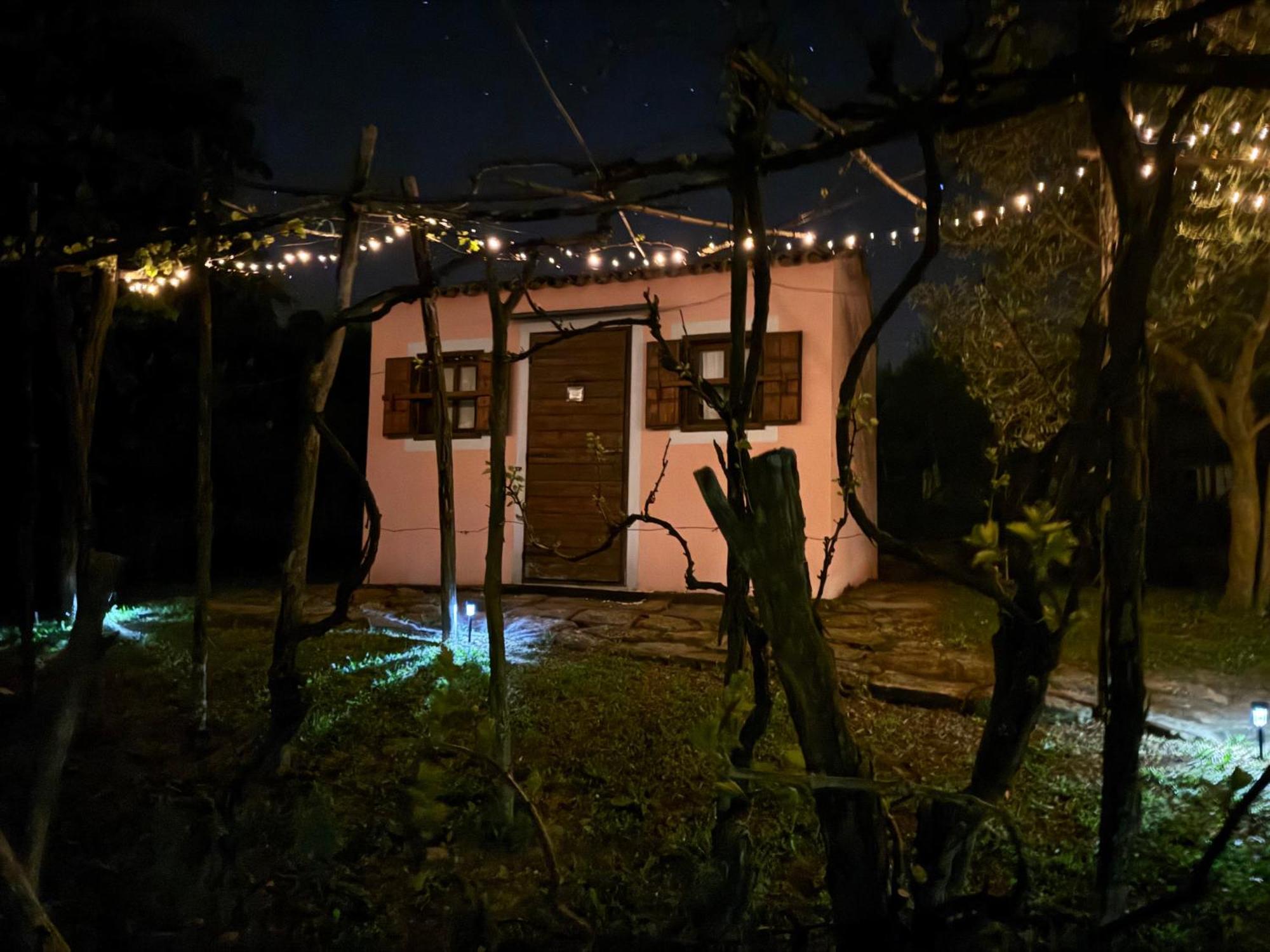 Glamping Green Istria Tiny Houses Truške 外观 照片